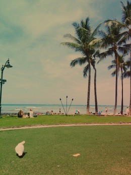 本日は大掃除＼（＾O＾）／