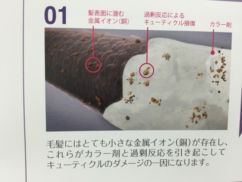 ヘアカラー革命