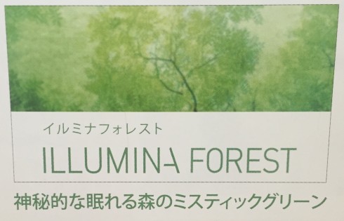 プレミアムカラー フォレスト