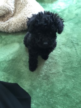 ご縁がありまして^ ^