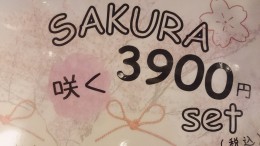 16-03-01-17-25-14-609_deco