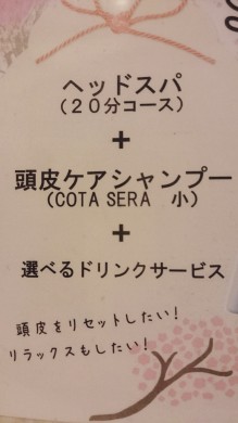 16-03-01-17-26-16-088_deco