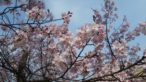 4月のはじまり…