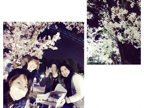 お花見