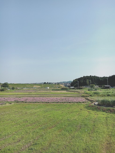 オススメスポット