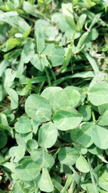 C360_2016-06-15-13-40-06-740